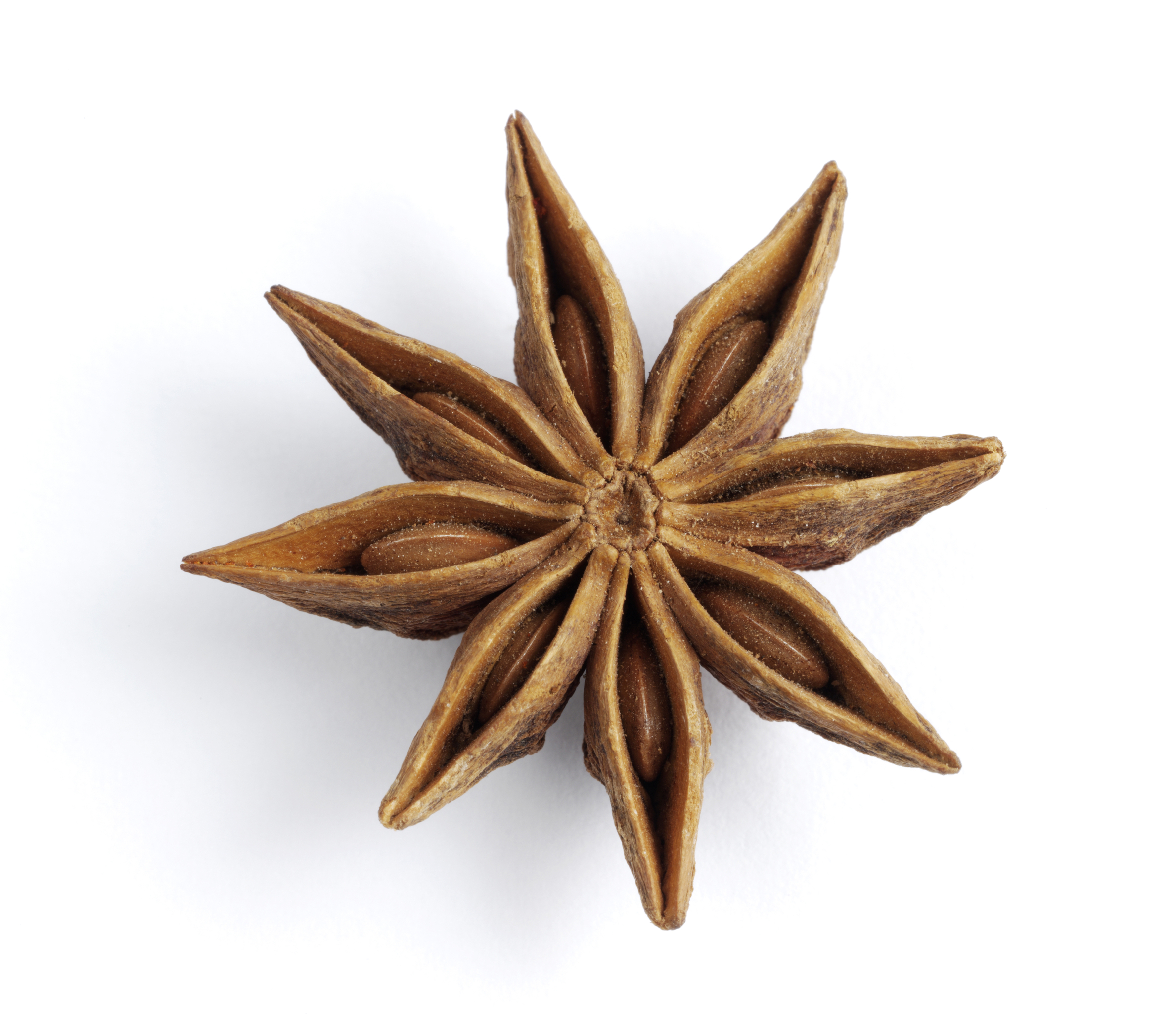 One Aniseed