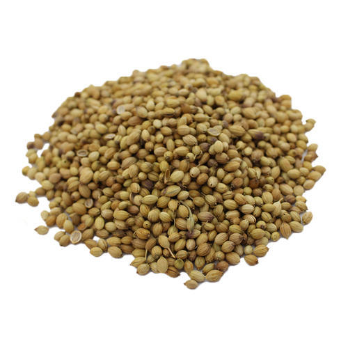 دانه گشنیز
